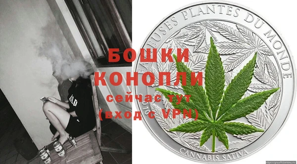 стаф Кулебаки