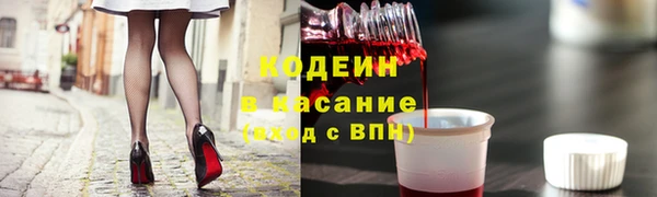 стаф Кулебаки