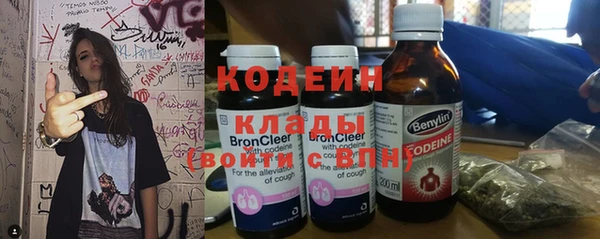 стаф Кулебаки